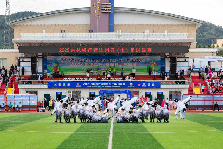 不仅展现了